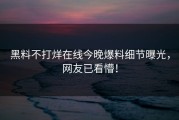 黑料不打烊在线今晚爆料细节曝光，网友已看懵！