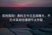 官网围观！黑料王今日丑闻曝光，不打烊真相惊爆细节太炸裂