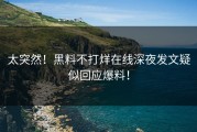 太突然！黑料不打烊在线深夜发文疑似回应爆料！