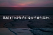 黑料不打烊背后的操盘手竟然是他？