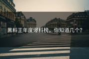 黑料王年度爆料榜，你知道几个？
