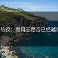 网友热议：黑料王是否已经越线了？