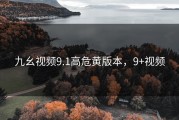 九幺视频9.1高危黄版本，9+视频