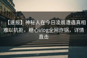 【速报】神秘人在今日凌晨遭遇真相难以抗拒，糖心vlog全网炸锅，详情直击