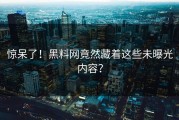 惊呆了！黑料网竟然藏着这些未曝光内容？