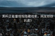 黑料正能量惊现隐藏线索，网友纷纷扒皮！