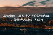 震惊全网！黑料社区今晚视频内幕，正能量大V真相让人瞠目
