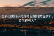 黑料网黑料不打烊今日爆料内容解析，背后还有人？