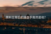 黑料王背后的操盘手竟然是他？