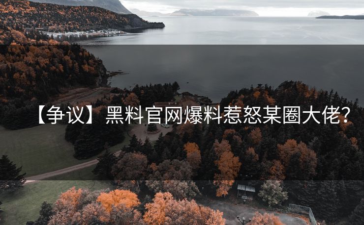 【争议】黑料官网爆料惹怒某圈大佬？