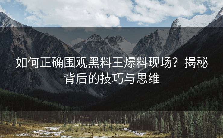 如何正确围观黑料王爆料现场？揭秘背后的技巧与思维