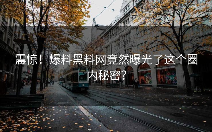 震惊！爆料黑料网竟然曝光了这个圈内秘密？