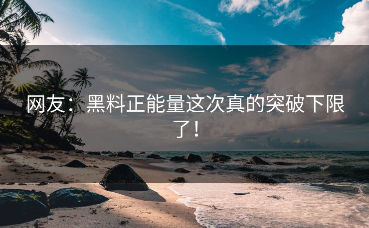网友：黑料正能量这次真的突破下限了！