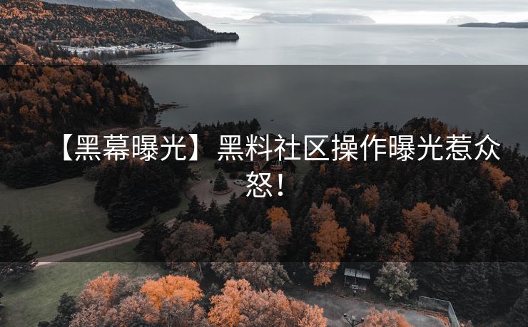 【黑幕曝光】黑料社区操作曝光惹众怒！