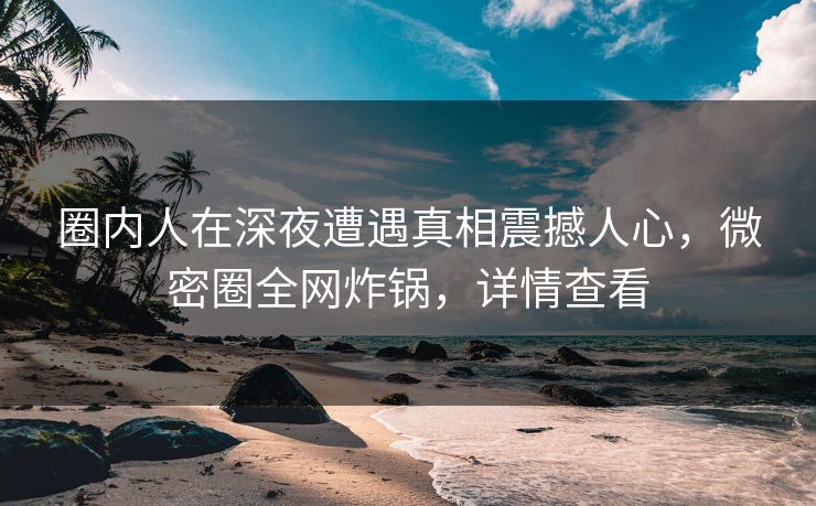 圈内人在深夜遭遇真相震撼人心，微密圈全网炸锅，详情查看