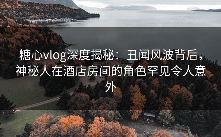 糖心vlog深度揭秘:丑闻风波背后,神秘人在酒店房间的角色罕见令人意外 糖心vlog深度揭秘:丑闻风波背后,神秘人在酒店房间的角色罕见令人意外