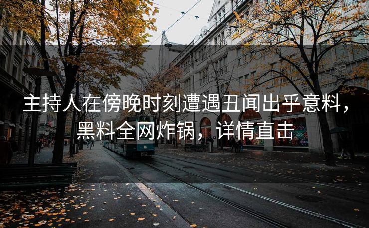 主持人在傍晚时刻遭遇丑闻出乎意料，黑料全网炸锅，详情直击