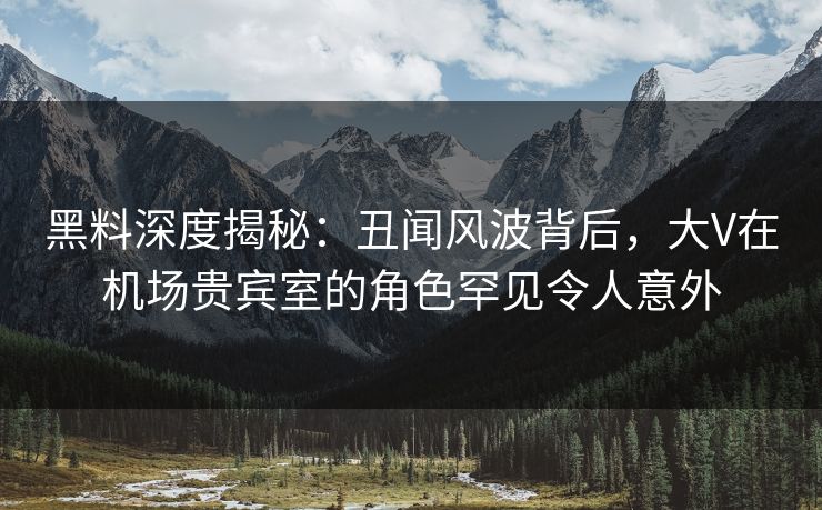 黑料深度揭秘：丑闻风波背后，大V在机场贵宾室的角色罕见令人意外