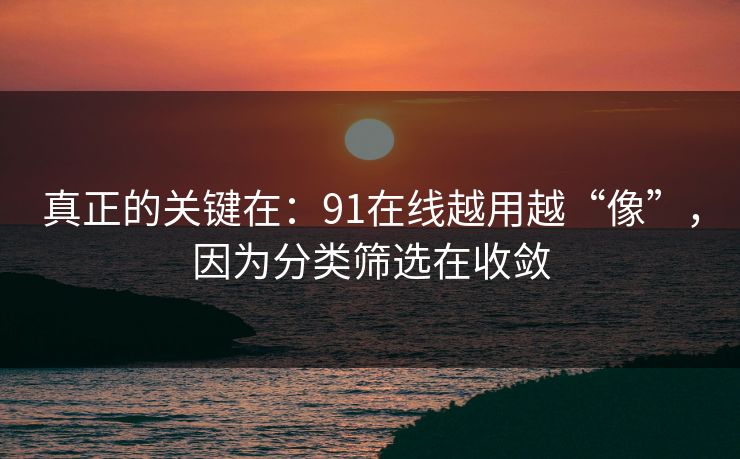 真正的关键在:91在线越用越“像”,因为分类筛选在收敛 真正的关键在:91在线越用越“像”,因为分类筛选在收敛